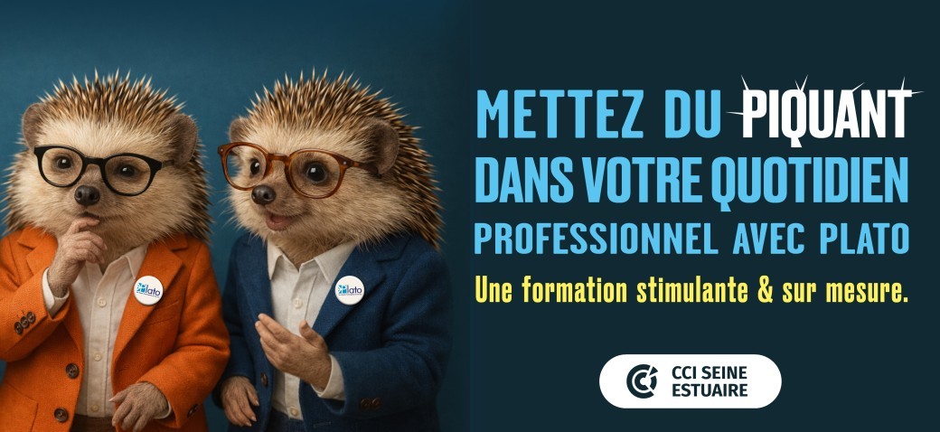 PLATO : La formation collaborative pour les dirigeants / cadres à responsabilité