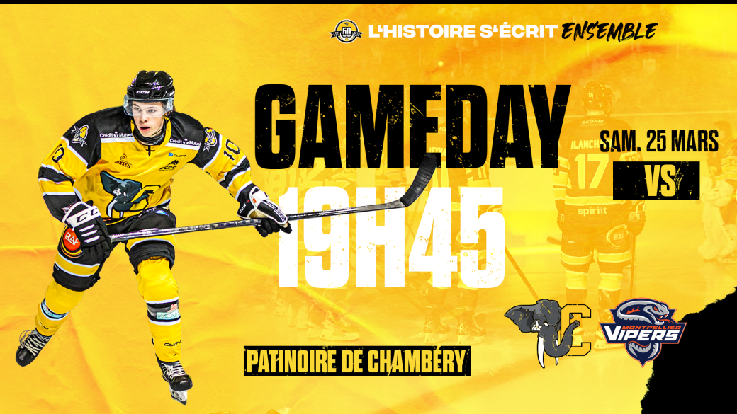 Playdown D1 - Chambéry Hockey VS Montpellier