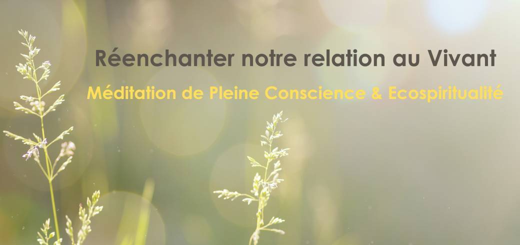Pleine Conscience et Ecospiritualité