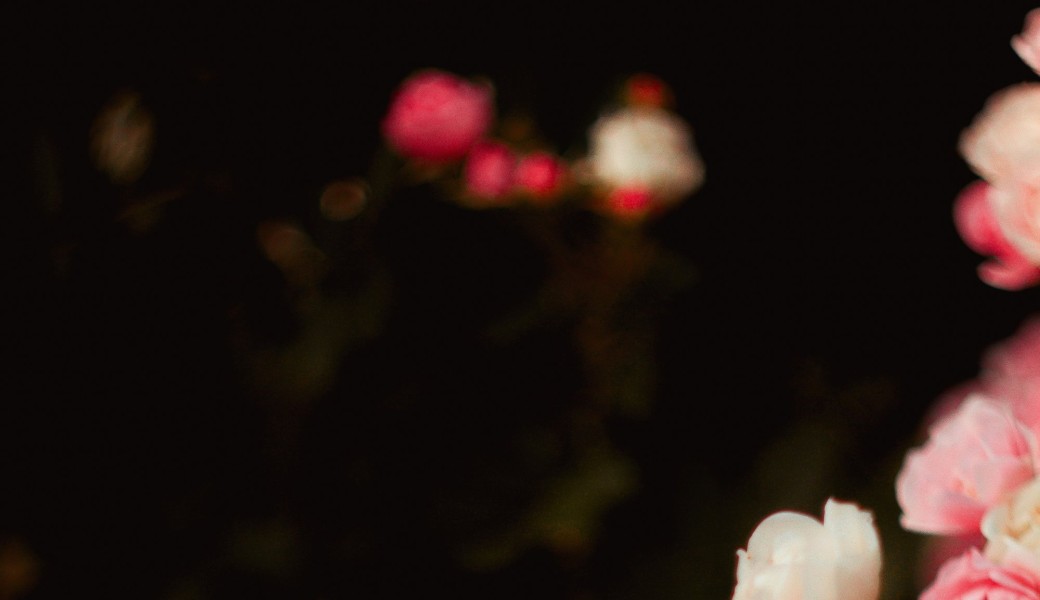 Pleine Lune du Castor / Super Lune / Soin rose rouge