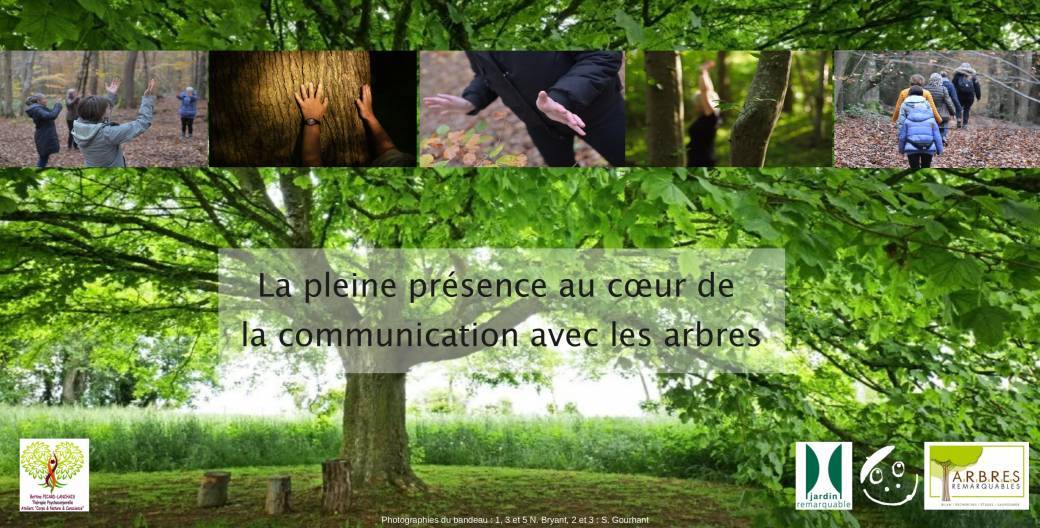 Jardin à Lucy (76) - Pleine présence au coeur de la communication avec les arbres