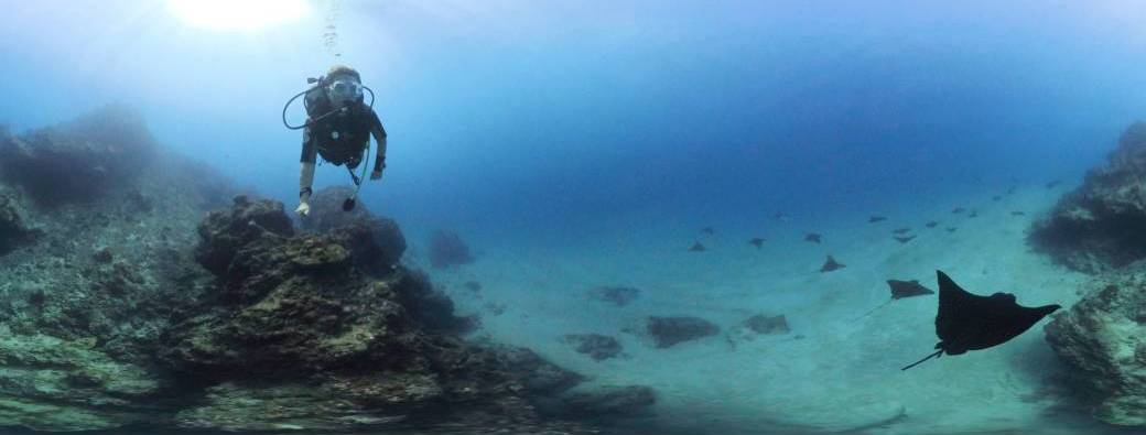 Baptême de plongée à Tahiti