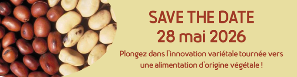 Plongez dans l’innovation variétale avec AlinOVeg
