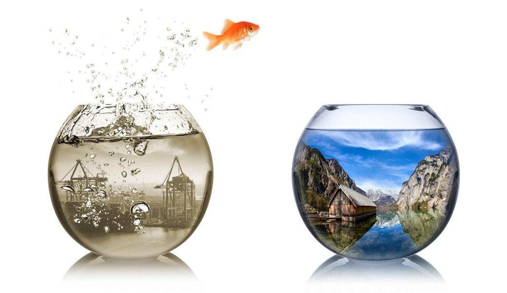 POA Présentation d'Opportunité d'Affaire