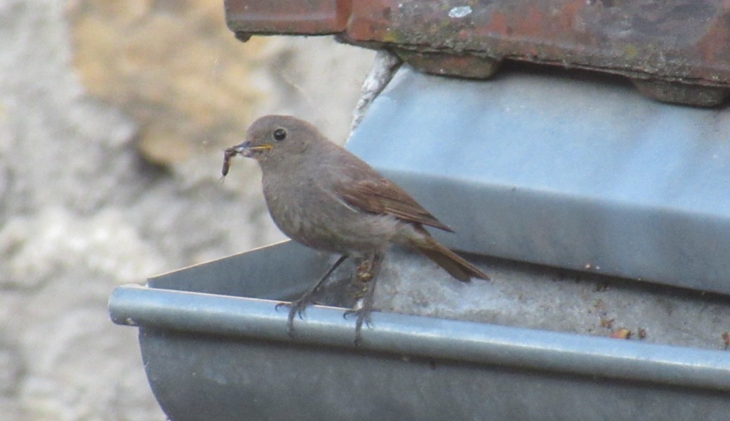 Poésie et Harmonie Poésie et Harmonie