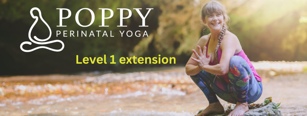 Poppy perinatal level 1 extension