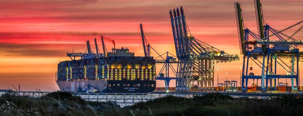 Port by night