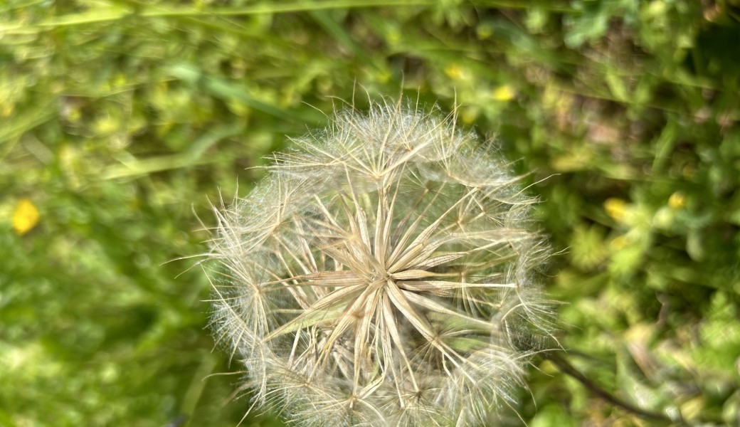 Porte ouverte Cabinet Blowball 25 janvier 2026