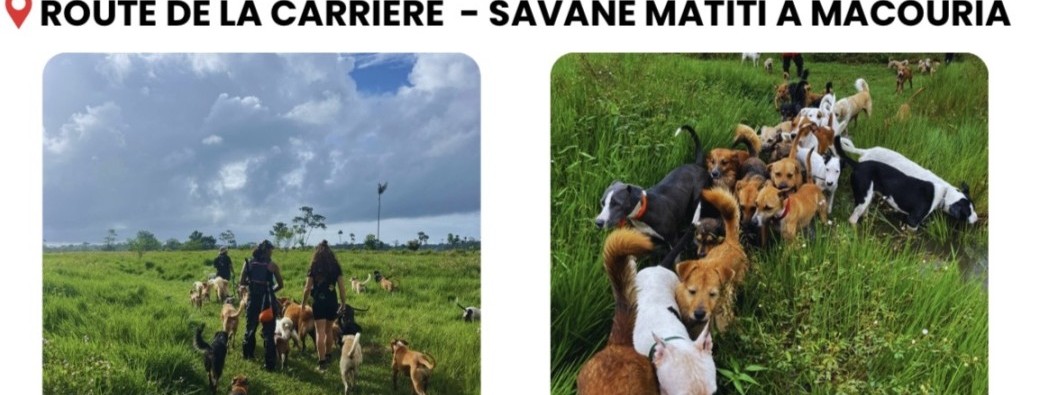 Portes Ouvertes - 13 Juin 2026