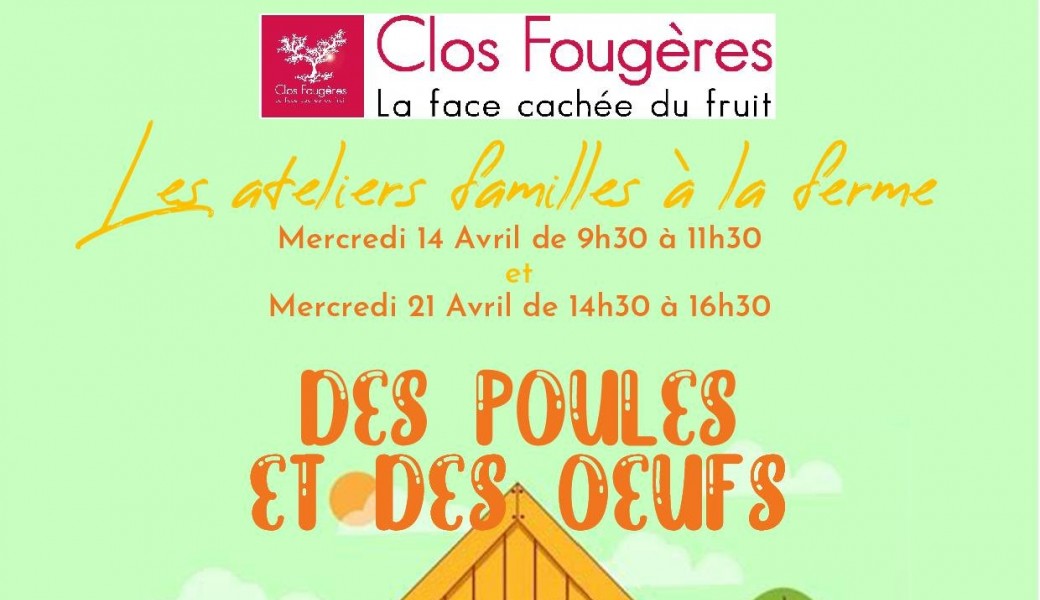 Poules et poulailler