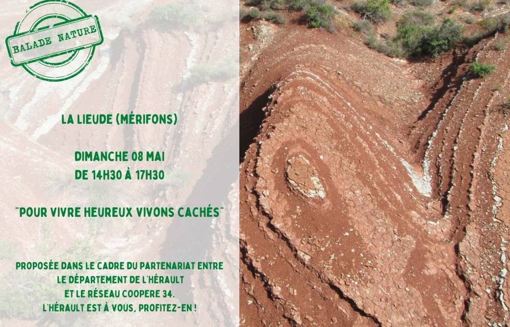 Pour vivre heureux, vivons cachés !