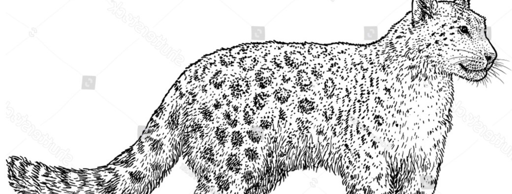 Why, and How, to create an afghan government in exile?