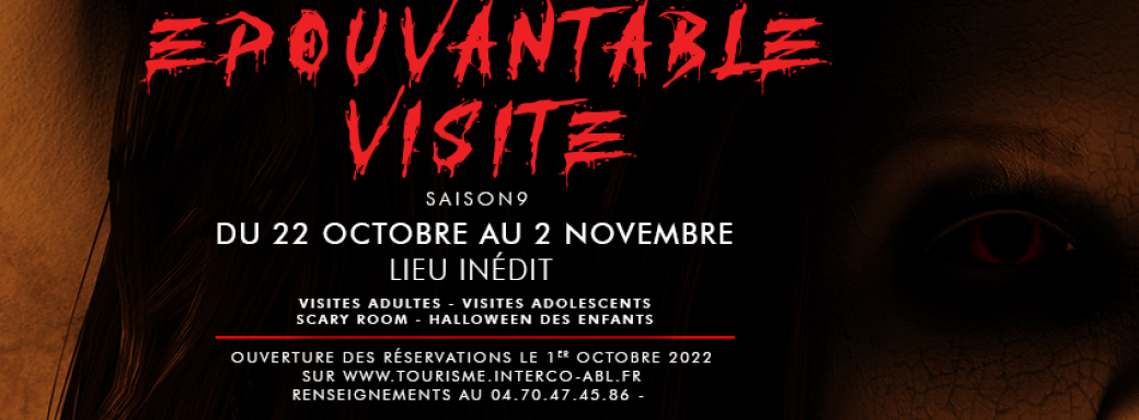 Épouvantable Visite 2022 - Scary Room