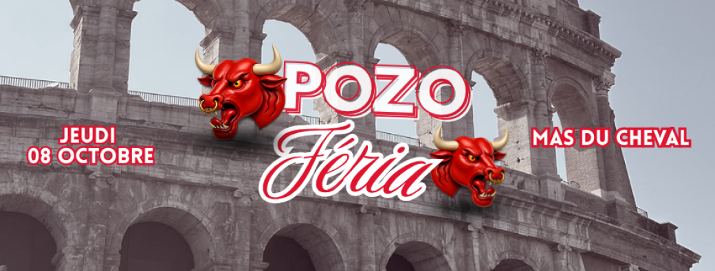 POZO FERIA 