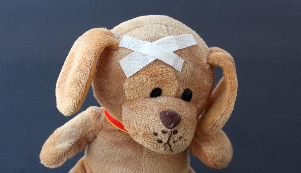 Préinscription sans engagement – Premiers secours Canins & Félins