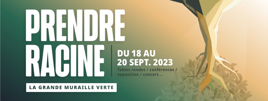 Prendre racine, la Grande Muraille verte