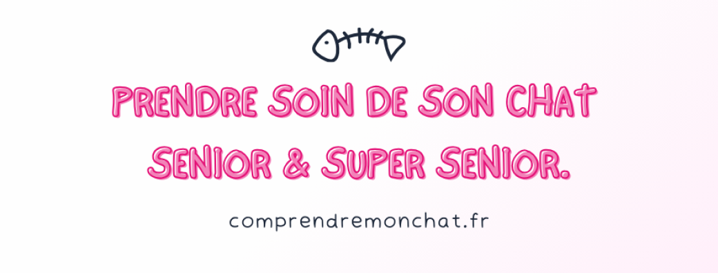 Prendre soin de son chat senior et super senior.