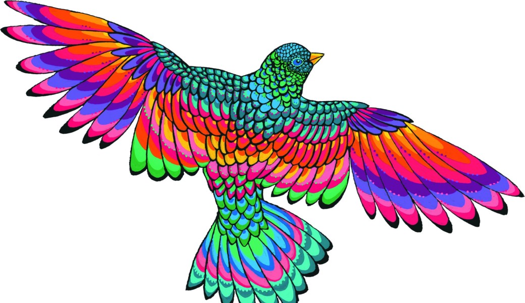 Présentation de la saison culturelle 2026/2027 