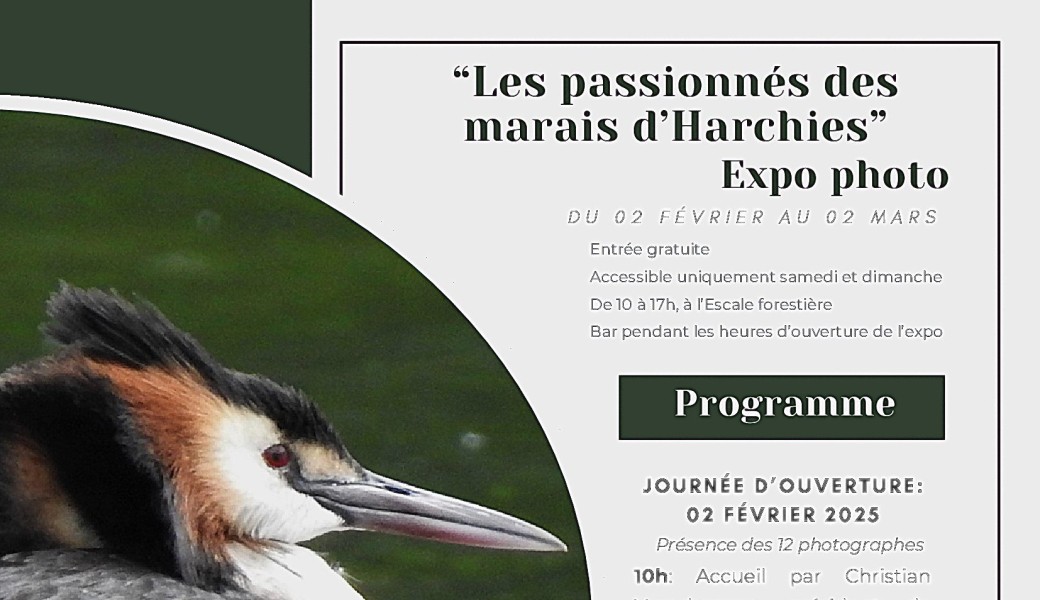 Présentation du film "La panthère des neiges" 'Yves Fagniart (projection+vente livres+dédicace) 