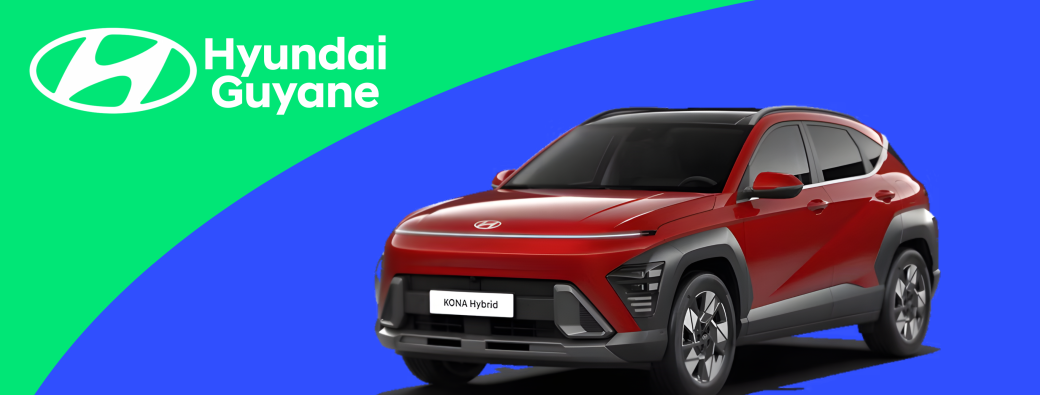 Présentation du Kona