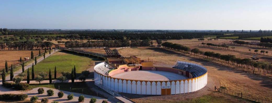 Primavera de Valverde