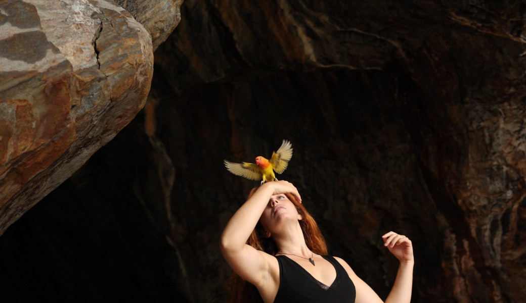 Print Club Les Oiseaux de Pluie