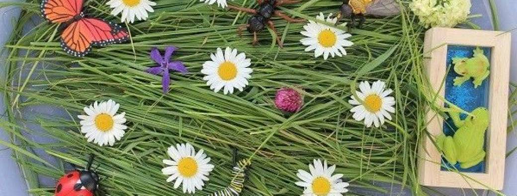 Printemps à Ambarès et Lagrave