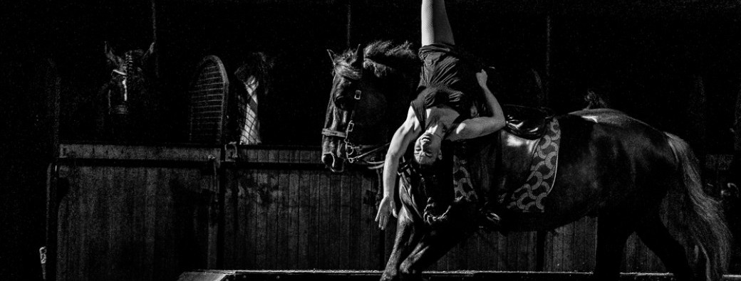 " Après la fête, création en itinérance " Printemps Équestre 2026