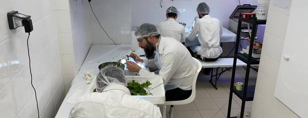 PRODUITS EMOUNA PESSA'H