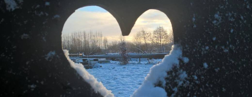 Profitons des vacances pour faire un cougnou