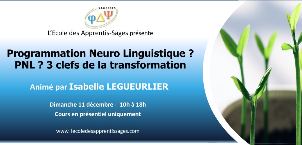 Programmation Neuro Linguistique ? PNL ? 3 clefs de la transformation 