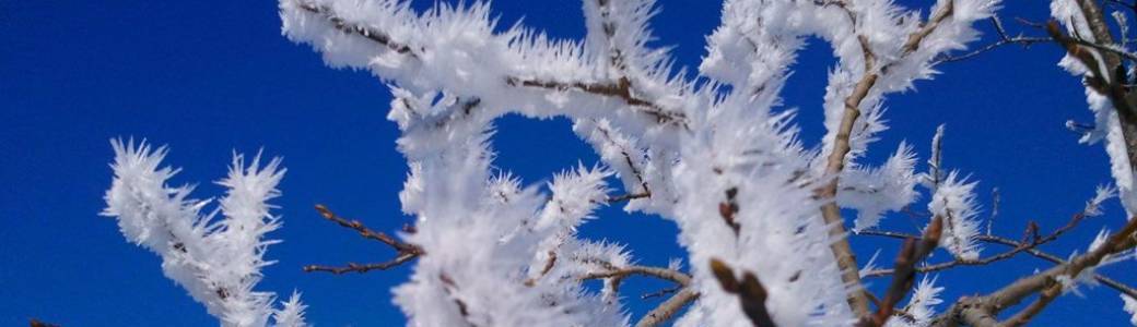 Programme MBSR Hiver avec Béatrix Toto