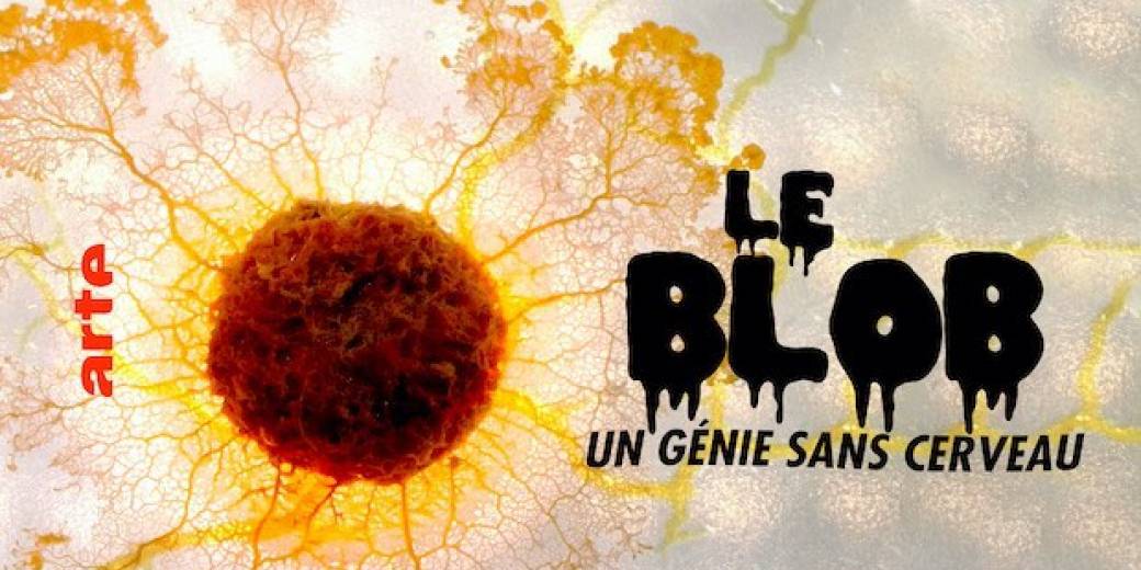 Projection/débat autour de "Le Blob, un génie sans cerveau"