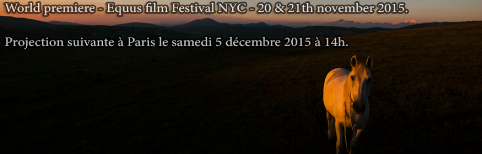 Projection du long métrage "Beyond our arena"