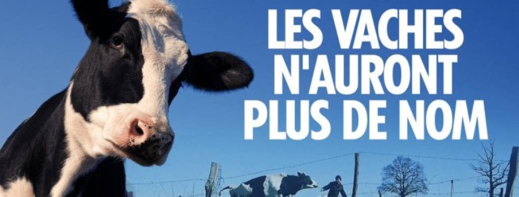Projection : Les vaches n'auront plus de nom