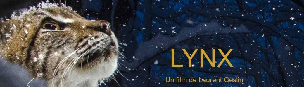 Lynx. Ciné-débat 