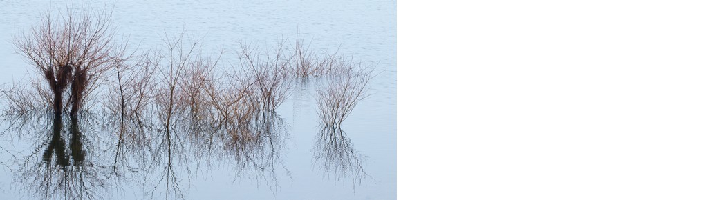 Projection-Poésie : Images poétiquement vôtres