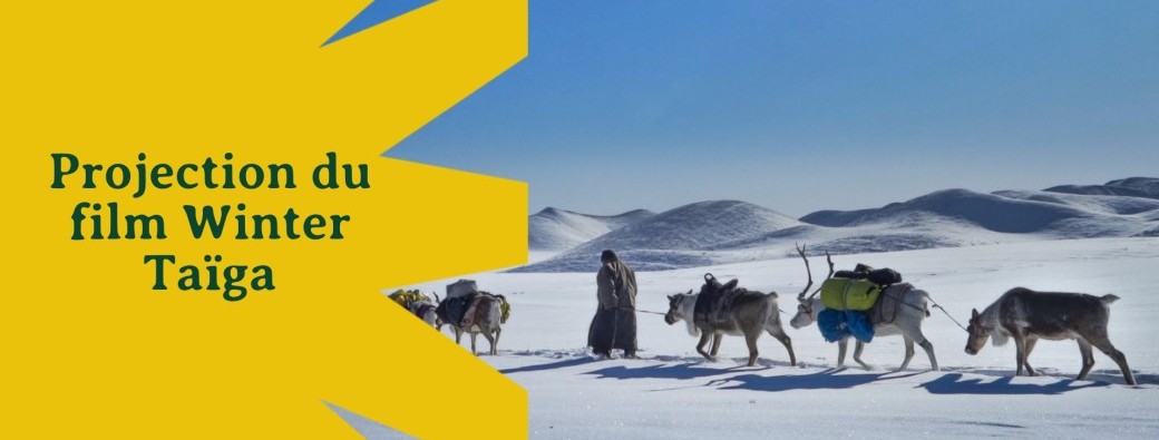 Projection : Winter Taïga