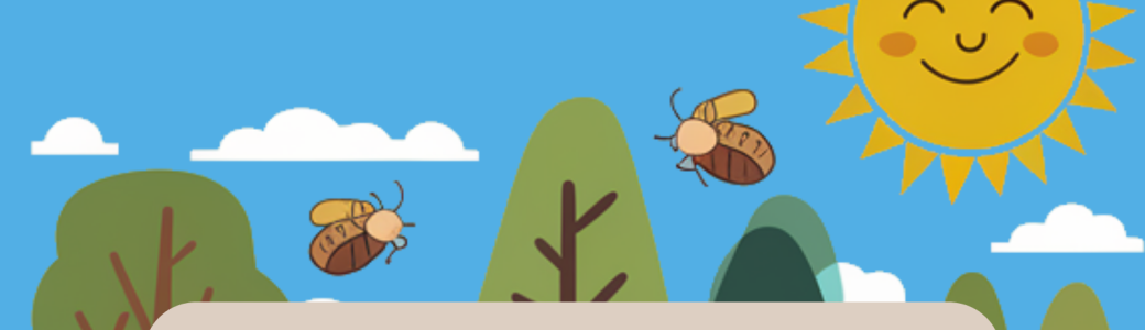 Projet d'agroforesterie