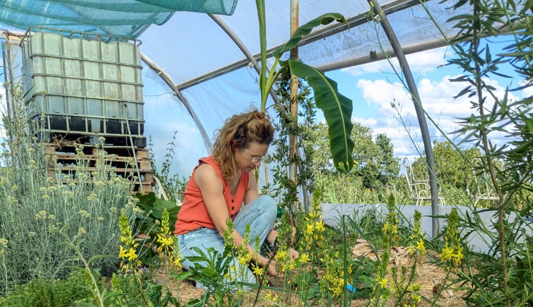 Promenade au coeur des plantes gourmandes, médicinales et insolites + gouter