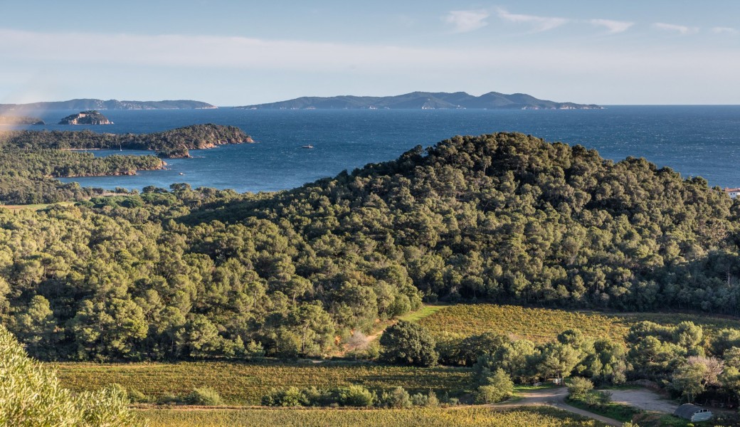 Promenade dans les vignes au Château des Bormettes 