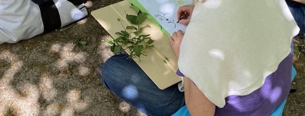 Promenade et atelier artistique à partir d’éléments naturels 