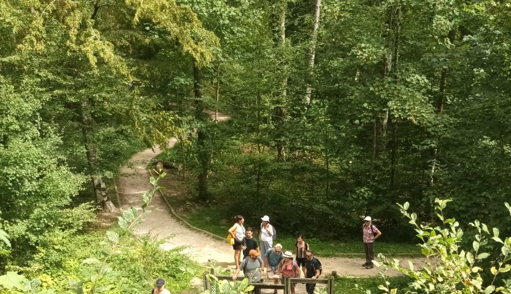 Promenade : le chemin des Moulins, des Jardins et des Ateliers d'Artistes (New)