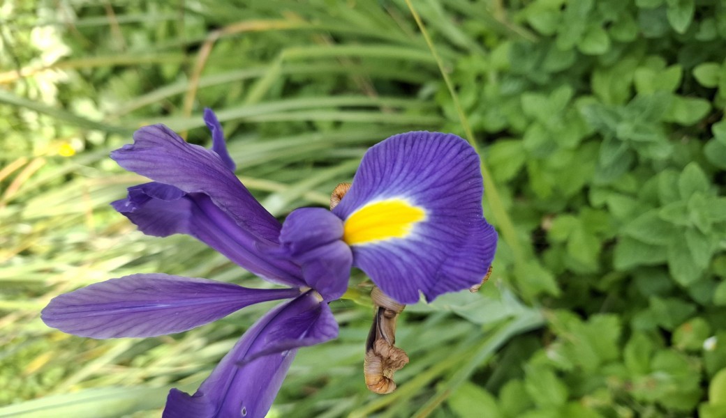 Promenade : Le Tour de Montmartre en photos (1839 / 1940)