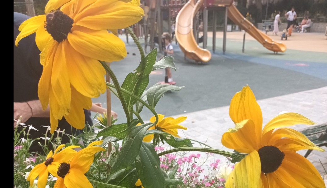 Promenade : les jardins insolites et cachés