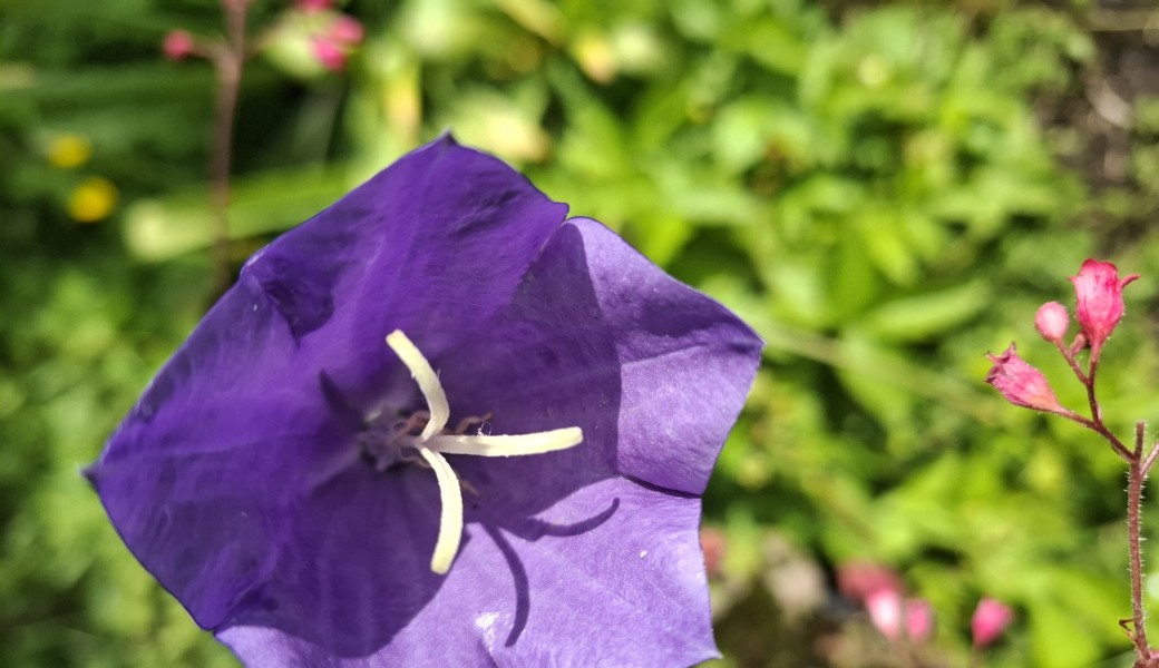 Promenade : les lieux insolites des 5eme et 6eme arrondissements de Paris