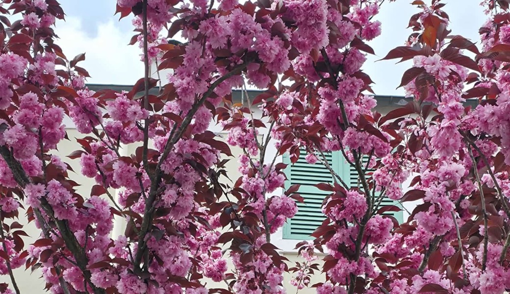 Promenade : l'ile de la Jatte / le chemin des impressionnistes+fête de la nature