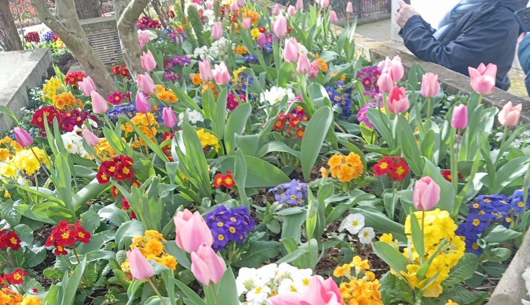 Promenade Nature : Le Tour du Parc Floral