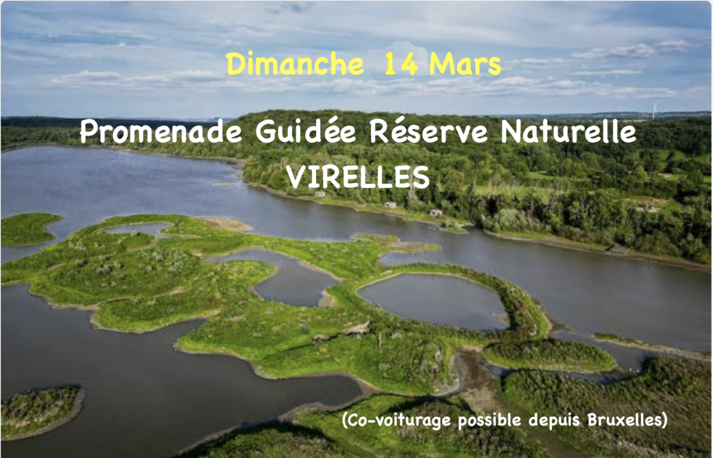 Promenade guidée dans la réserve naturelle de VIRELLES (Aquascope)