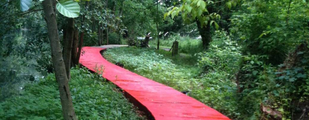 Promenade au jardin